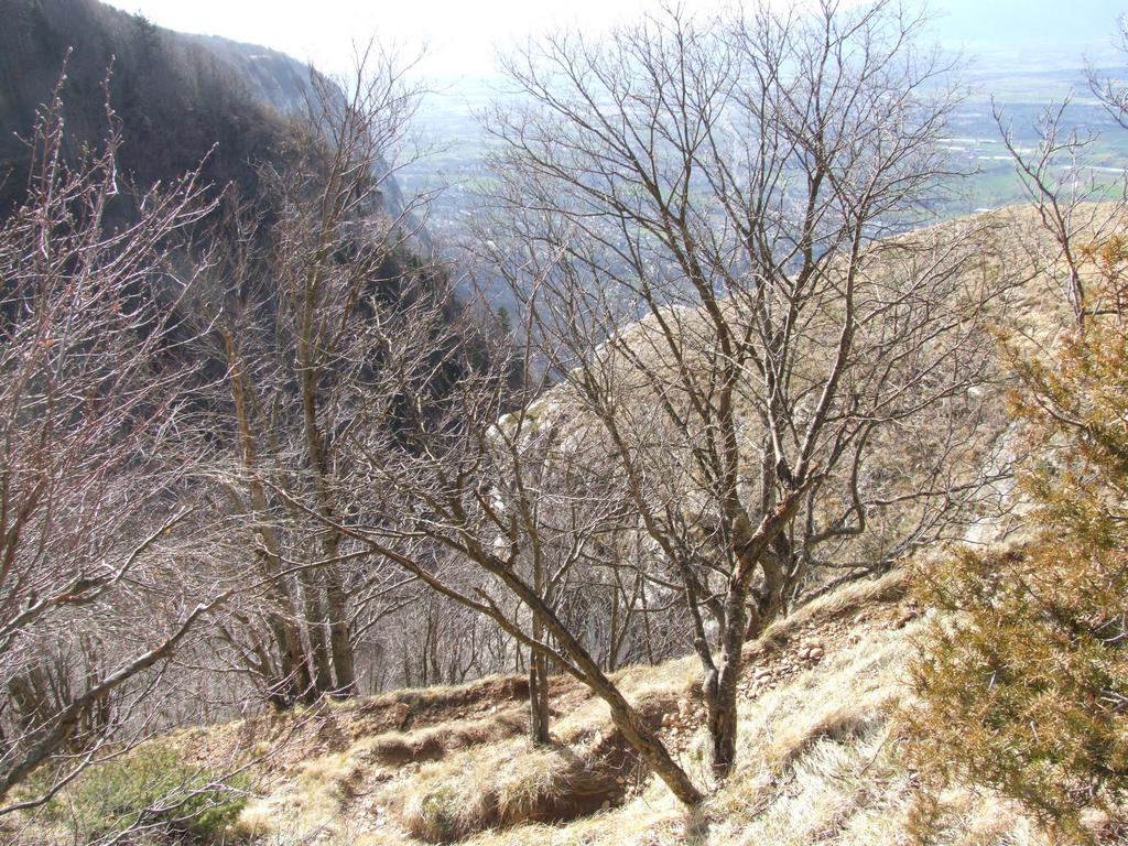 Cliquer pour voir l'image suivante