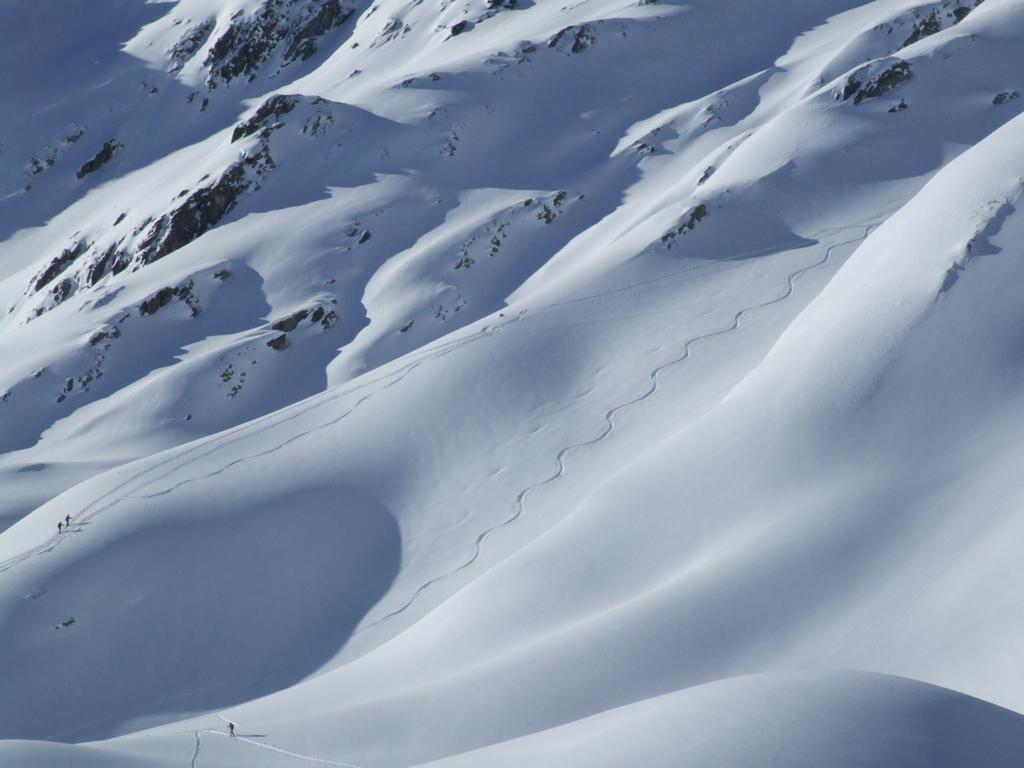 Cliquer pour voir l'image suivante