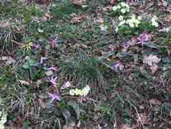 Cliquer pour agrandir l'image (2592x1944 pixels; 14762 KB)