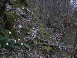 Cliquer pour agrandir l'image (2592x1944 pixels; 14762 KB)