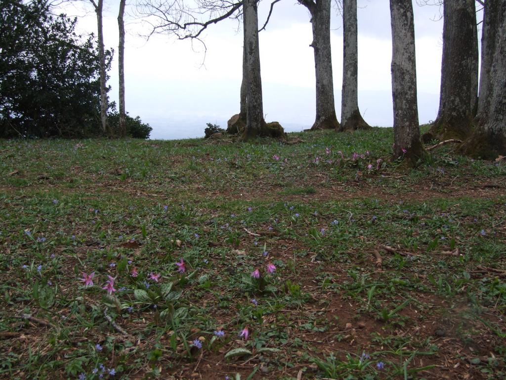 Cliquer pour voir l'image suivante