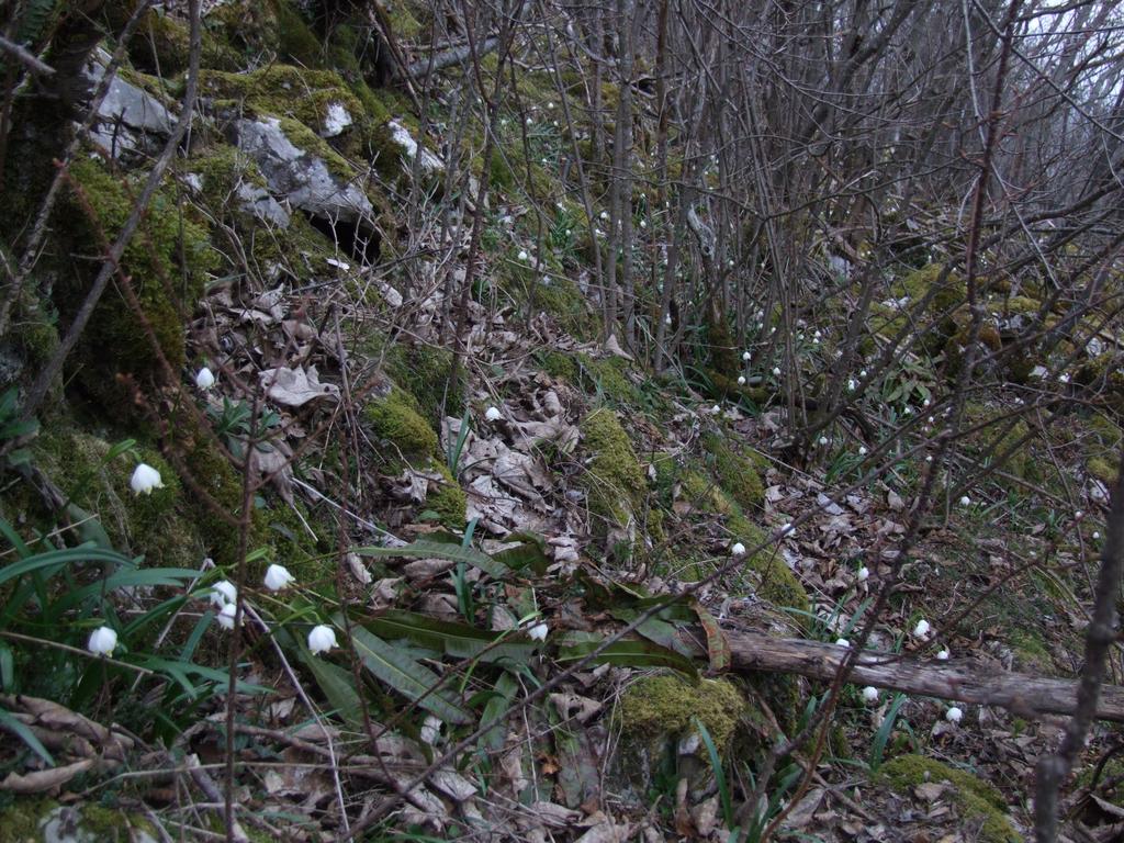 Cliquer pour voir l'image suivante