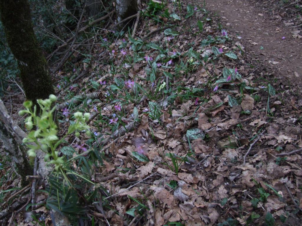 Cliquer pour voir l'image suivante