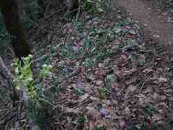 Cliquer pour agrandir l'image (1024x768 pixels; 174 KB)