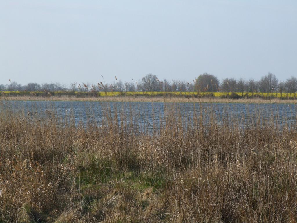 Click to see next picture