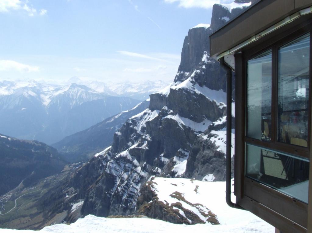 Cliquer pour voir l'image suivante