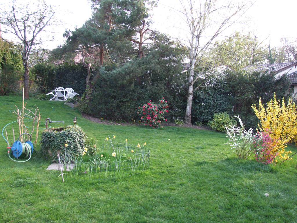 Cliquer pour voir l'image suivante