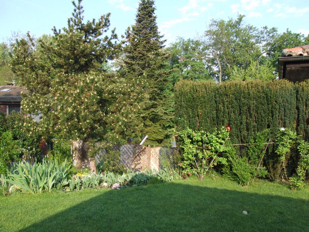 Cliquer pour voir l'image suivante