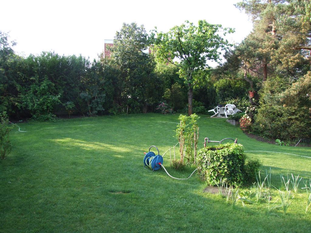 Cliquer pour voir l'image suivante