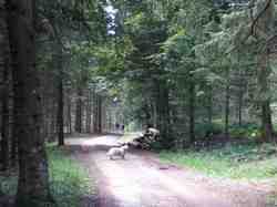 Clic pour agrandir l'�mage (1024x768 pixels; 181 KB)