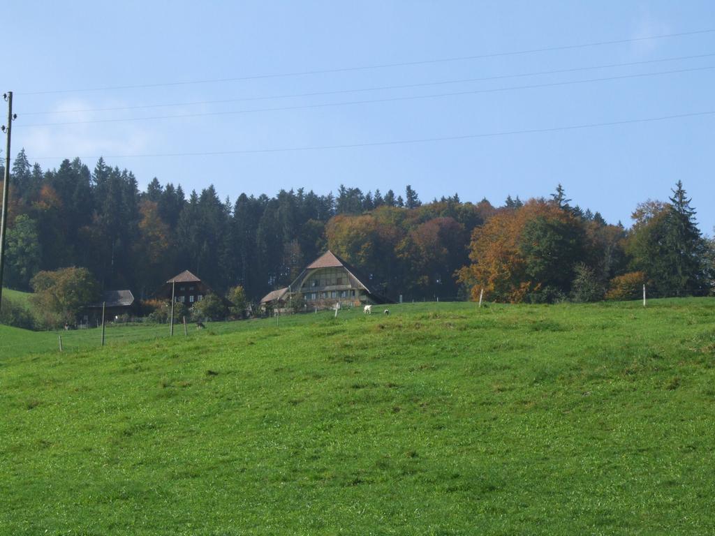 Clic pour voir l'image suivante