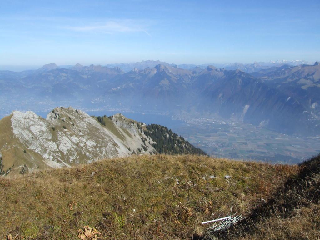 Clic pour voir l'image suivante