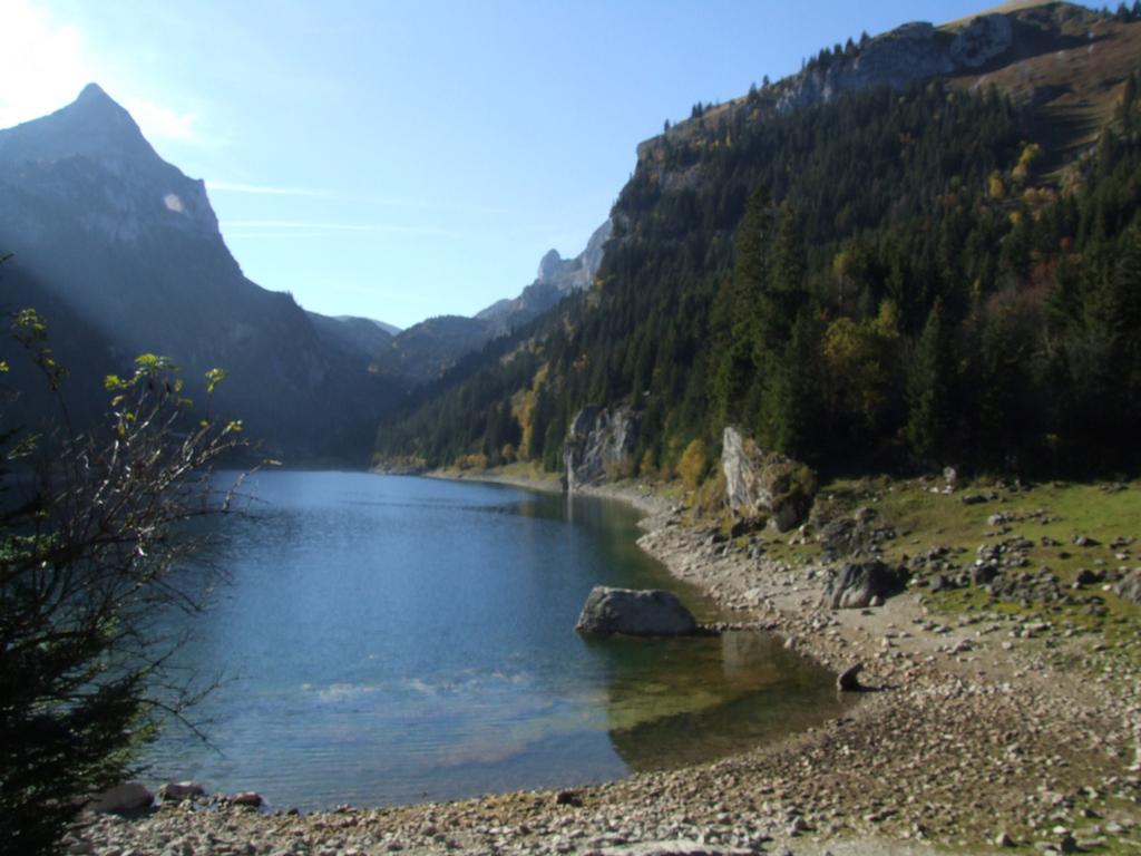 Clic pour voir l'image suivante