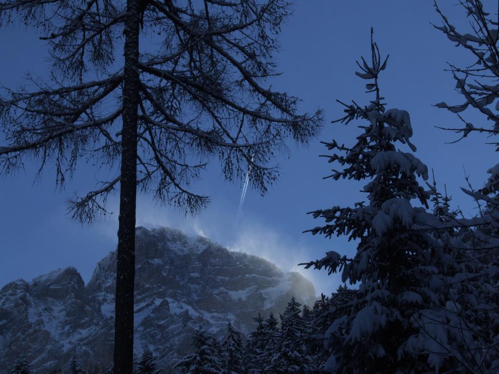 Clic pour voir l'image suivante