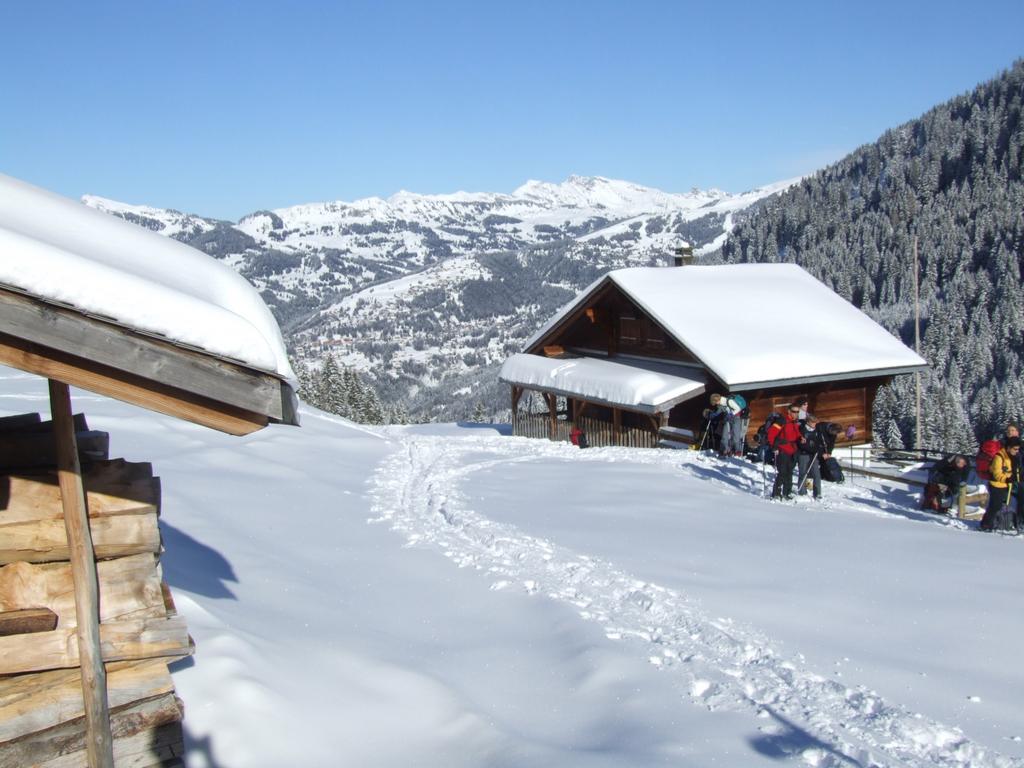 Clic pour voir l'image suivante