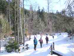 Clic pour agrandir l'mage (1024x768 pixels; 194 KB)