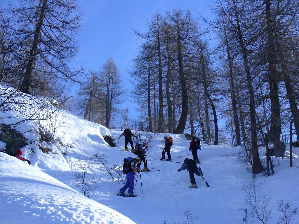 Clic pour voir l'image suivante