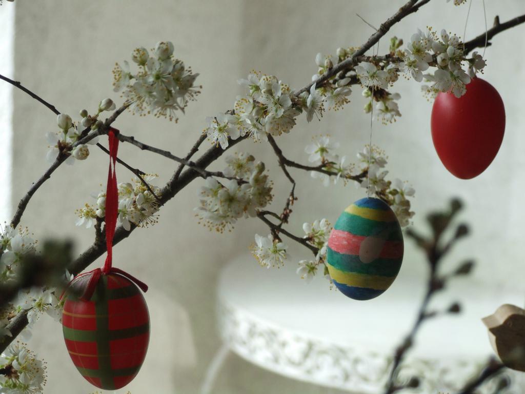 Clic pour voir l'image suivante