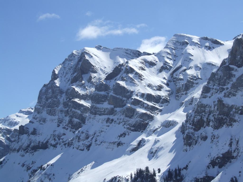 Clic pour voir l'image suivante