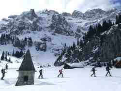 Clic pour agrandir l'îmage (800x600 pixels; 73 KB)