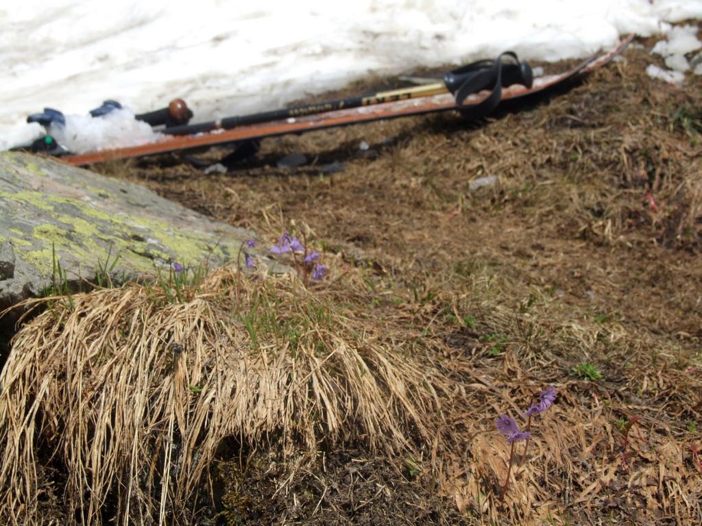 Clic pour voir l'image suivante