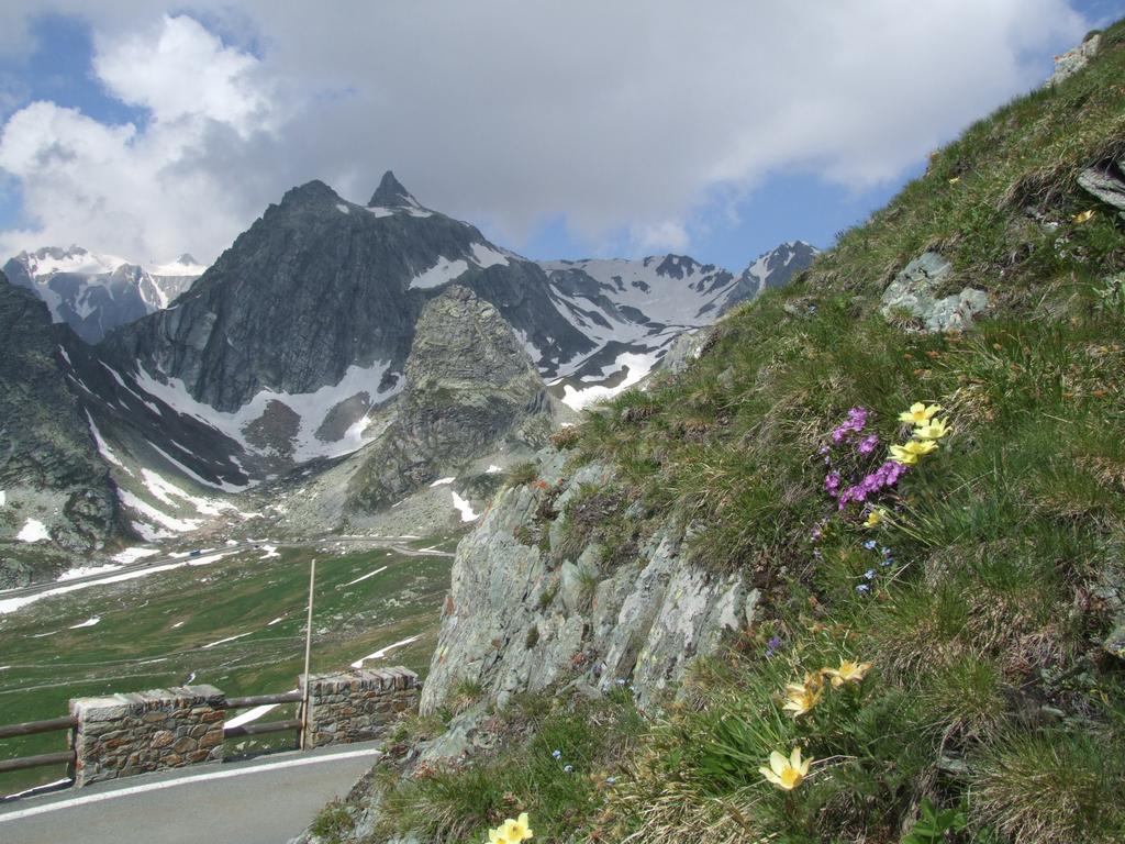 Clic pour voir l'image suivante