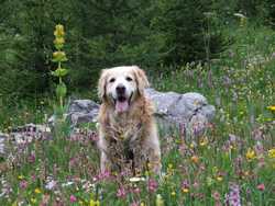 Clic pour agrandir l'îmage (1024x768 pixels; 206 KB)