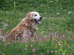 Clic pour agrandir l'îmage (1024x768 pixels; 200 KB)