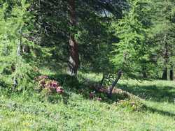 Clic pour agrandir l'�mage (1024x768 pixels; 274 KB)