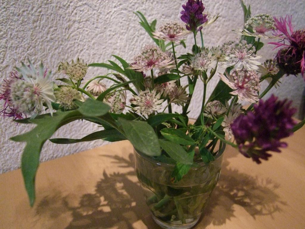 Clic pour voir l'image suivante