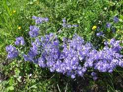 Clic pour agrandir l'�mage (1024x768 pixels; 303 KB)