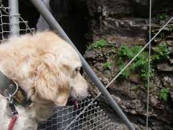 Clic pour agrandir l'�mage (1024x768 pixels; 129 KB)