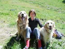 Clic pour agrandir l'�mage (800x600 pixels; 141 KB)