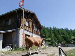 Clic pour agrandir l'�mage (800x600 pixels; 95 KB)