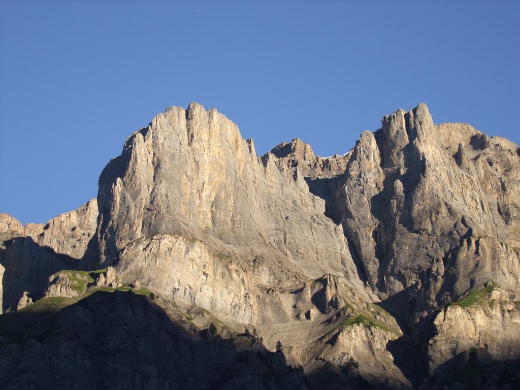 Clic pour voir l'image suivante