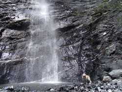 Clic pour agrandir l'�mage (1024x768 pixels; 251 KB)