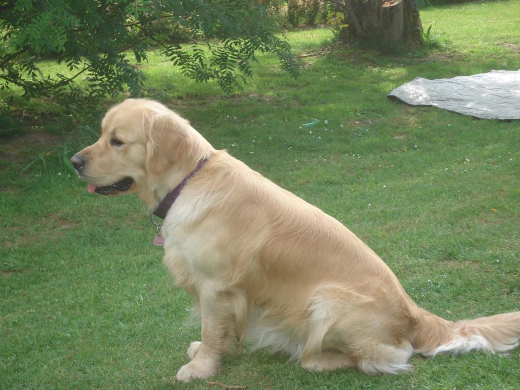 Pour l'image suivante