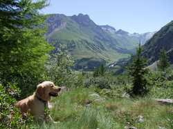 Pour agrandir l'image (1024x768 pixels; 214 KB)