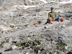 Pour agrandir l'image (1024x768 pixels; 233 KB)