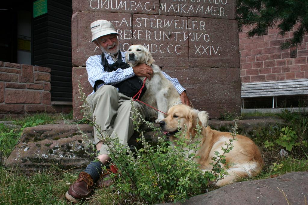 Pour l'image suivante