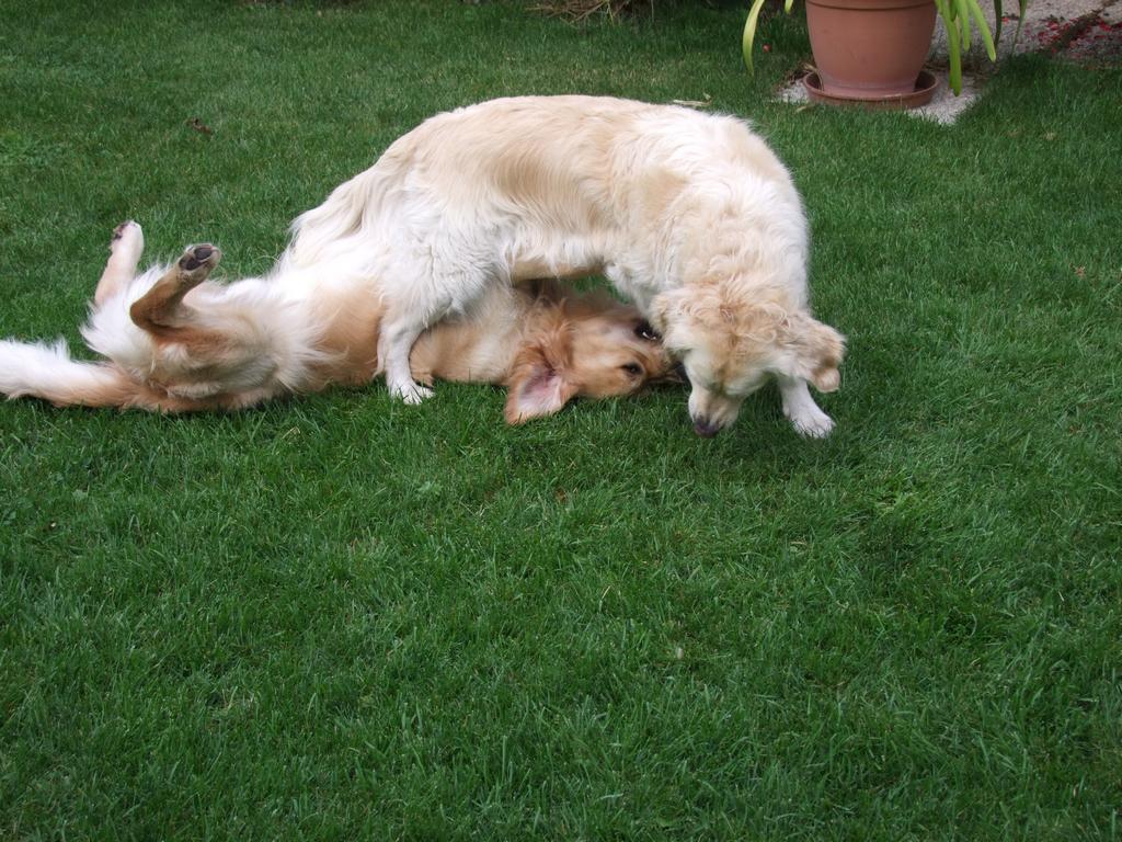 Pour l'image suivante