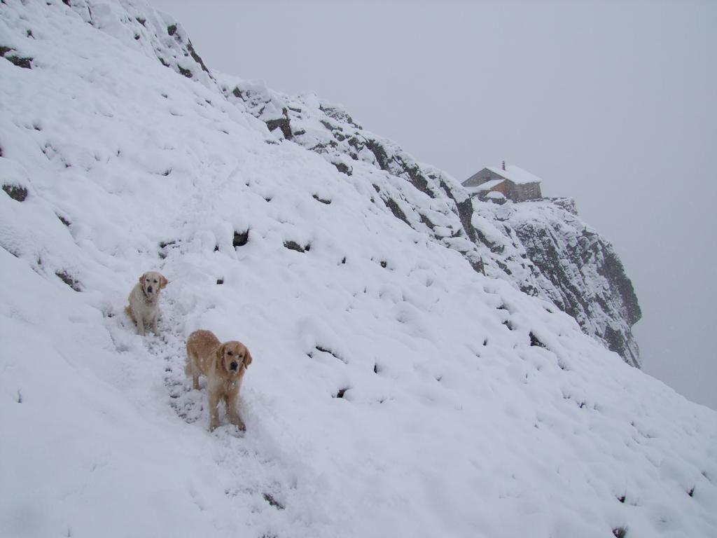 Pour l'image suivante