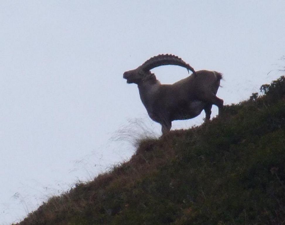 Pour l'image suivante