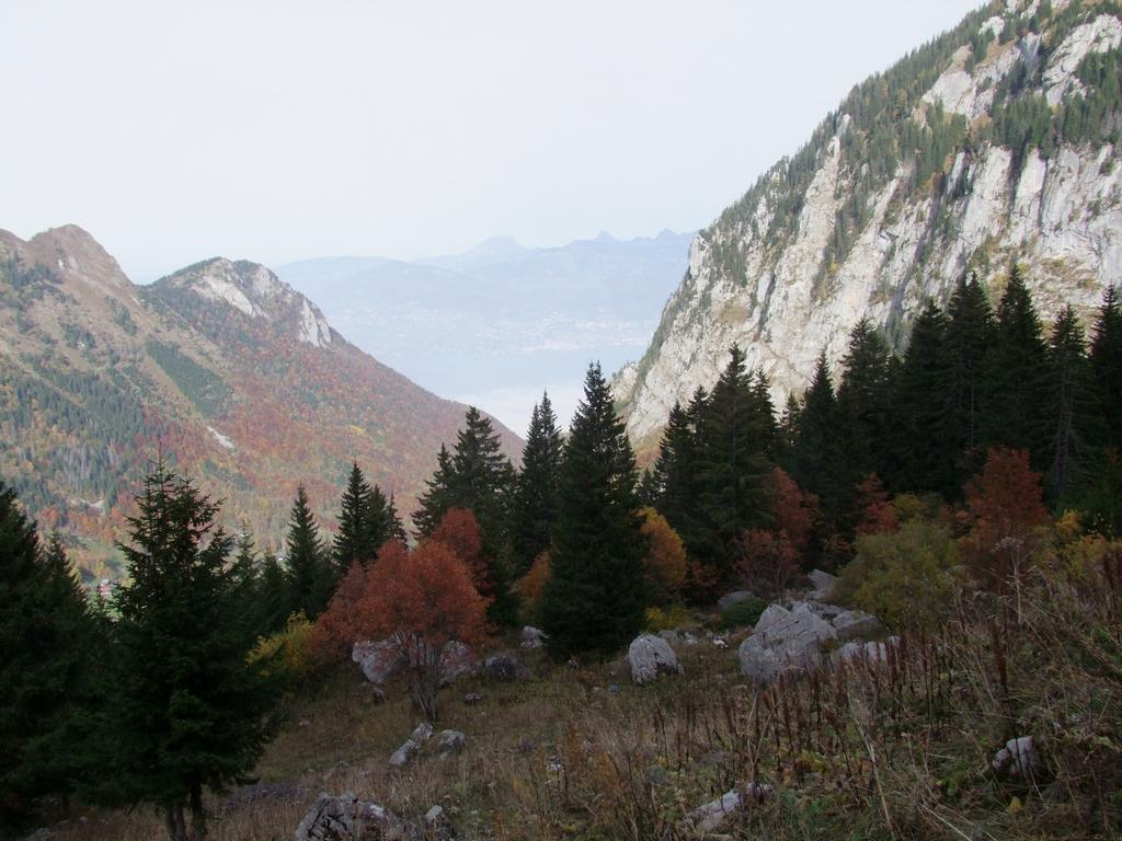 Pour l'image suivante