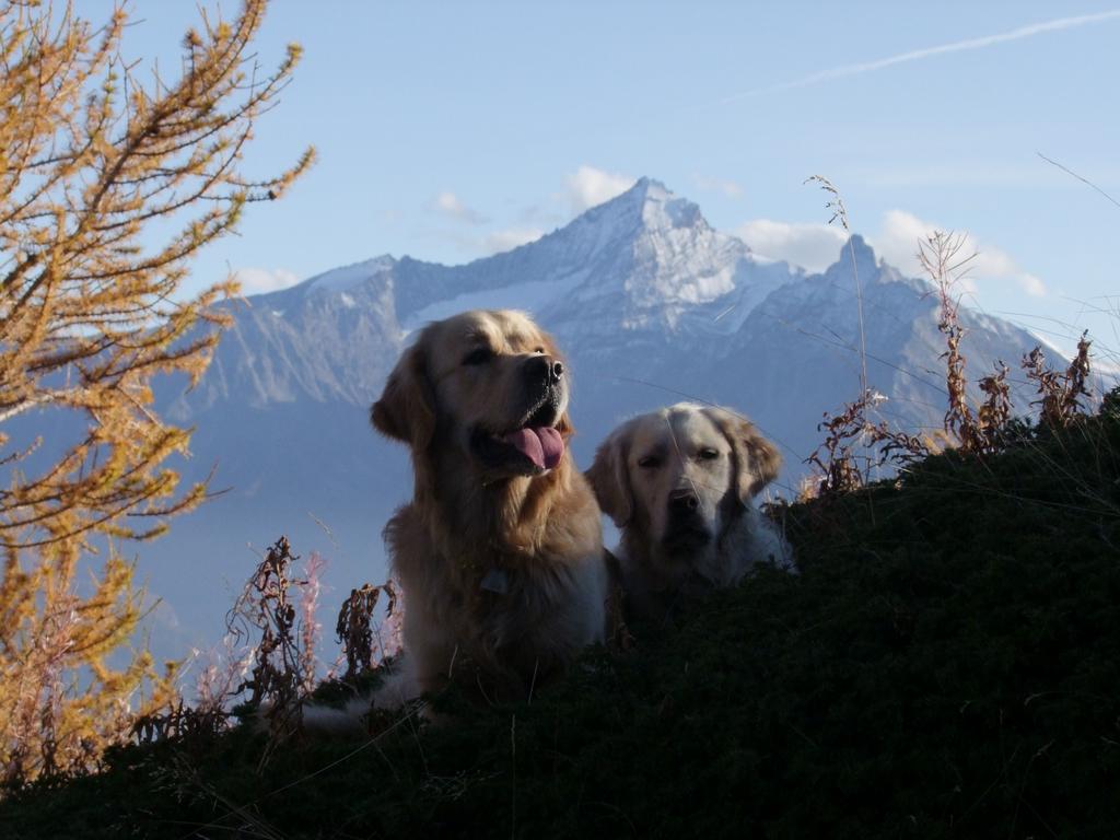 Pour l'image suivante