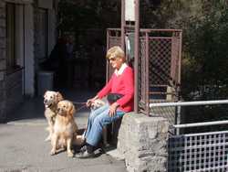 Pour agrandir l'image (1024x768 pixels; 172 KB)