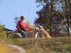 Pour agrandir l'image (1024x768 pixels; 157 KB)