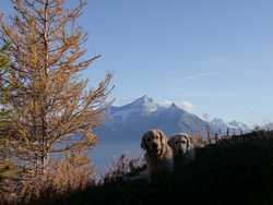 Pour agrandir l'image (1024x768 pixels; 137 KB)