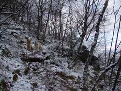 Pour agrandir l'image (1024x768 pixels; 268 KB)