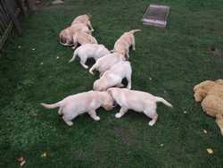 Pour agrandir l'image (1024x768 pixels; 175 KB)